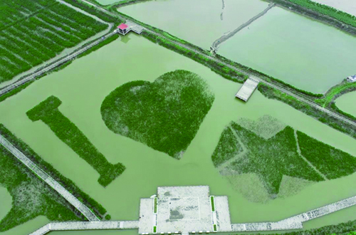 微信图片_20240520200956.jpg