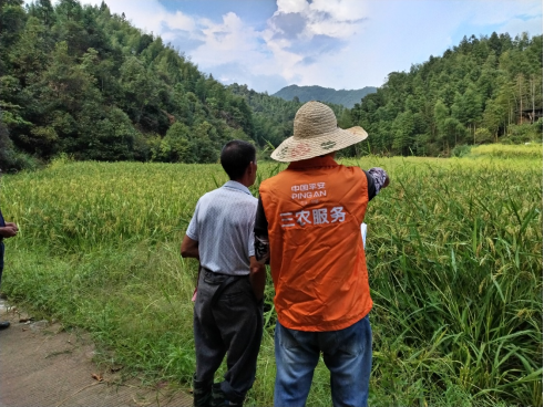 平安产险福建分公司：严阵以待 积极防抗台风“贝碧嘉”624.png