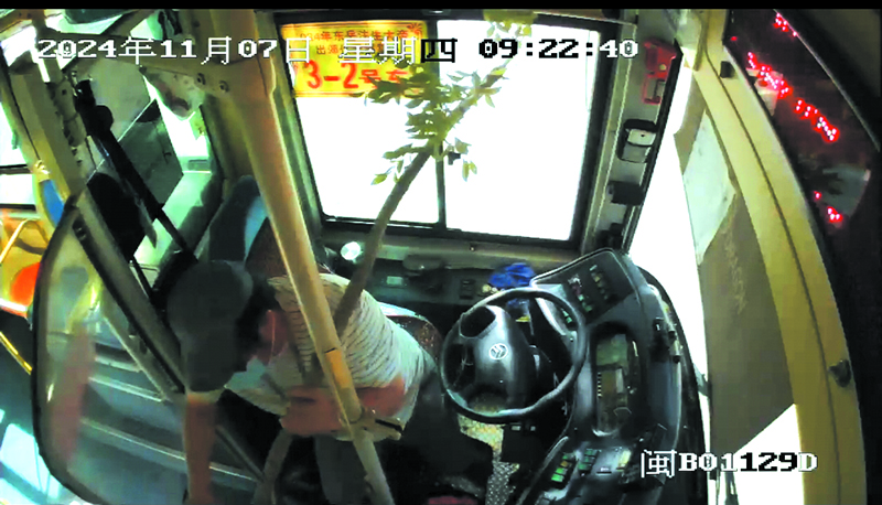 linsh2411133.jpg linsh2411133.jpg