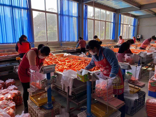 微信图片_20250114093930.jpg