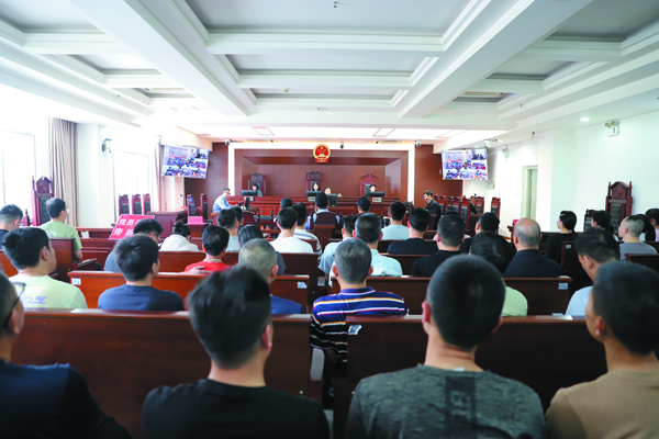 linsh2504222.jpg