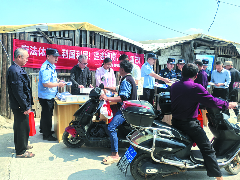 linsh2504303.jpg